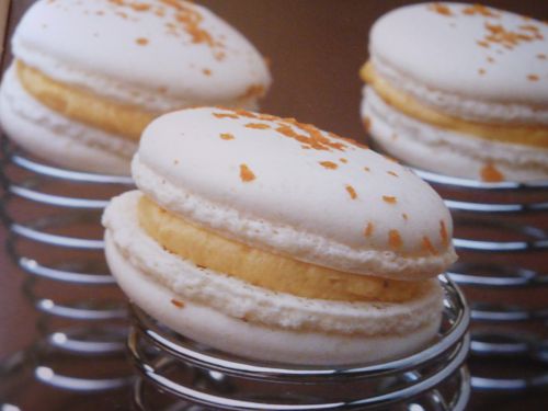 Macarons au caramel beurre salé