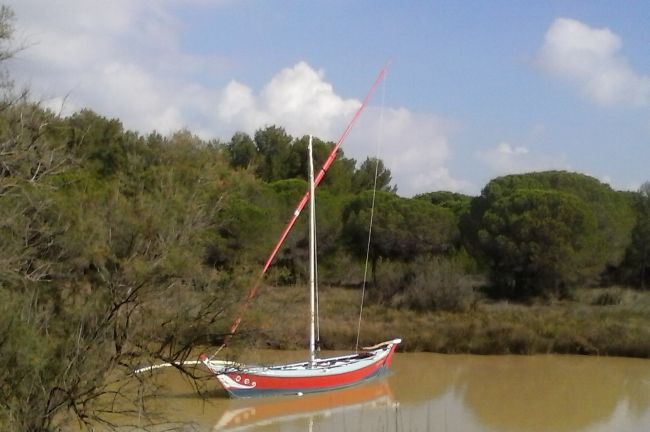 petit bateau sur l'étang du Ponant