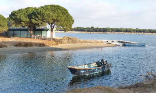 BARQUE SUR L'ETANG