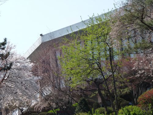 campus' library