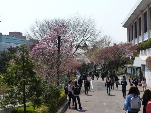 on campus