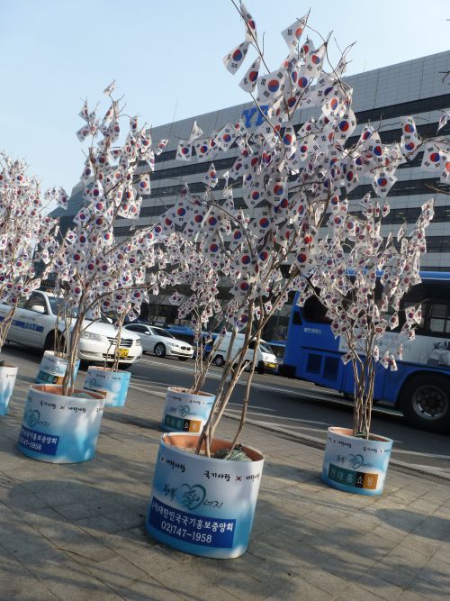 Korean trees