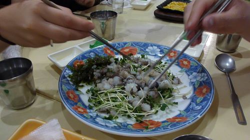 alive octopus !!