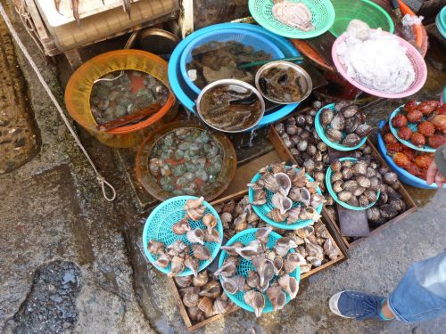 fish market