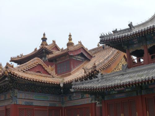 Lama temple