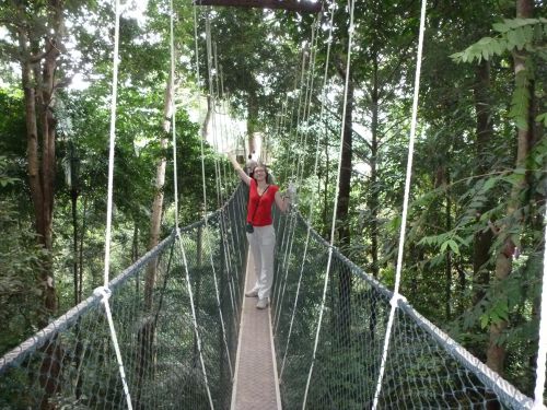 Le pont suspendu