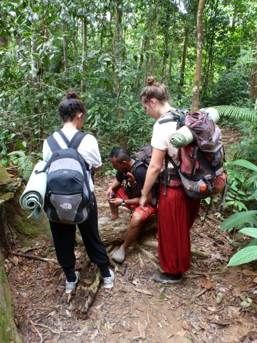 Arrivée dans la jungle 