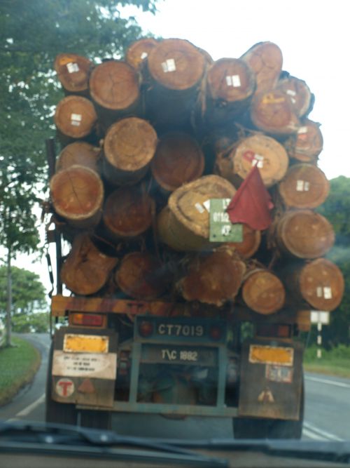 on Malaysian roads