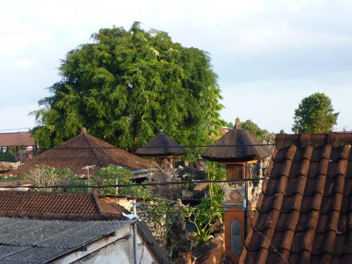 Ubud