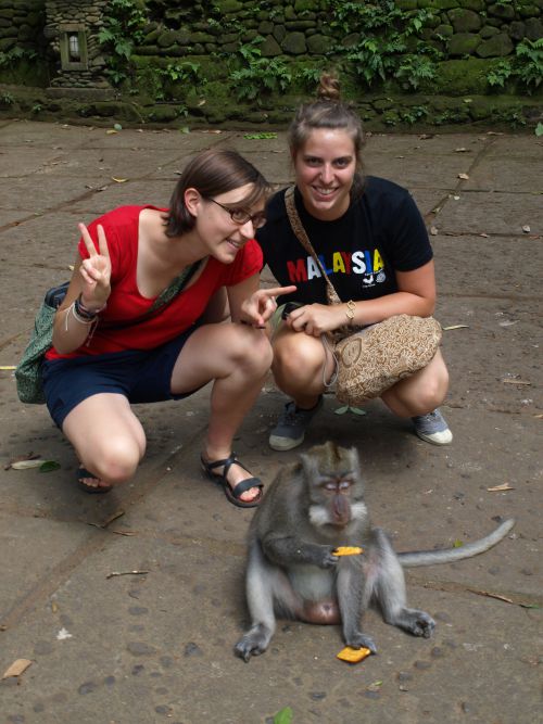 Monkey forest