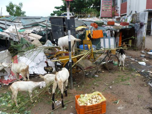 Chennai