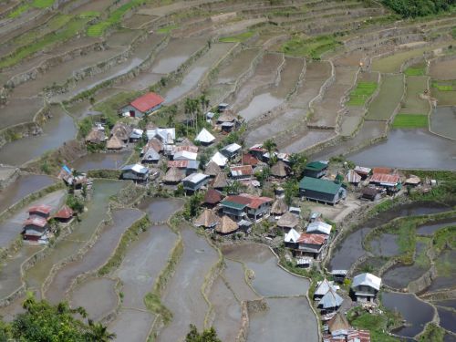 rice terraces à Batac
