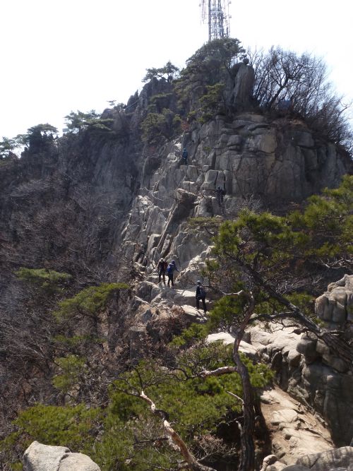 climbing