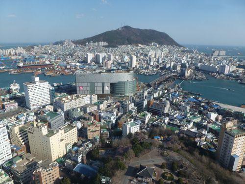 view from Busan tower