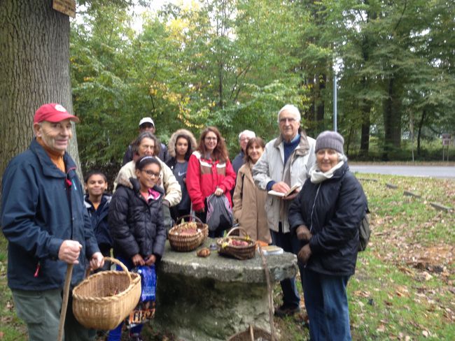 Cueillette champignons oct. 2015