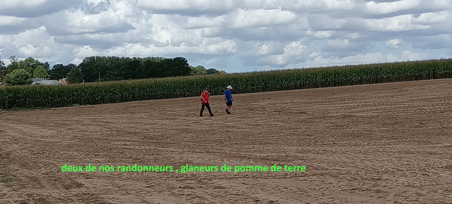 1 (11) - Copie