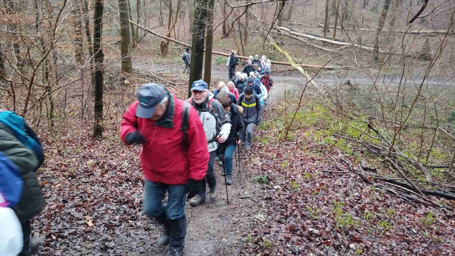 2024-01-16 Forêt verte Grand Canton (12)