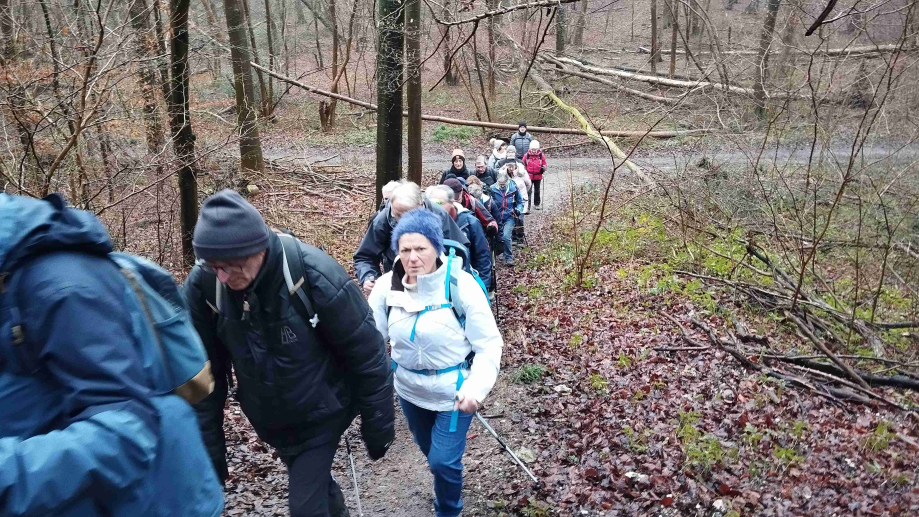 2024-01-16 Forêt verte Grand Canton (15)