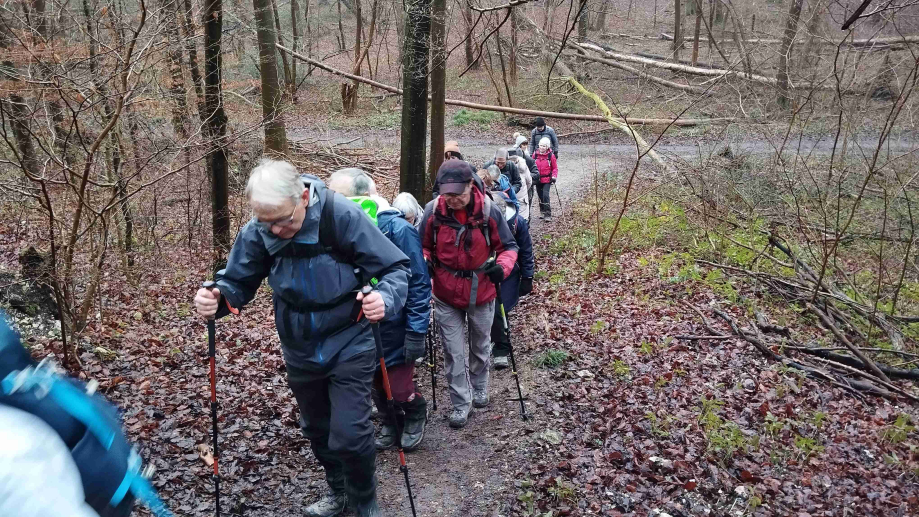 2024-01-16 Forêt verte Grand Canton (16)