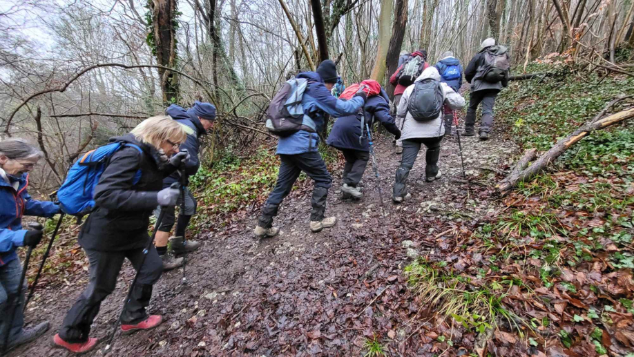 2024-01-16 Forêt verte Grand Canton (18)