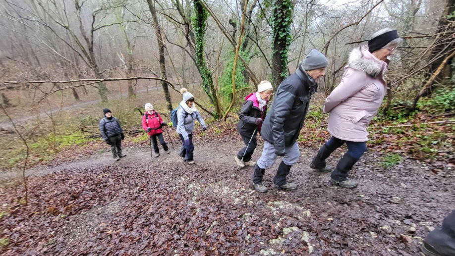 2024-01-16 Forêt verte Grand Canton (19)