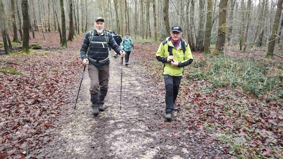 2024-01-16 Forêt verte Grand Canton (20)