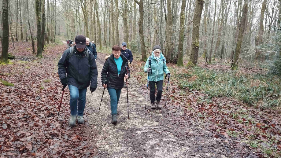 2024-01-16 Forêt verte Grand Canton (21)