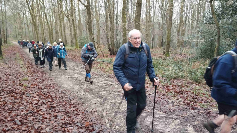 2024-01-16 Forêt verte Grand Canton (22)