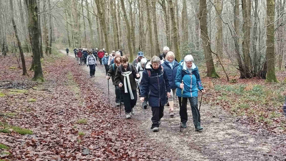 2024-01-16 Forêt verte Grand Canton (23)