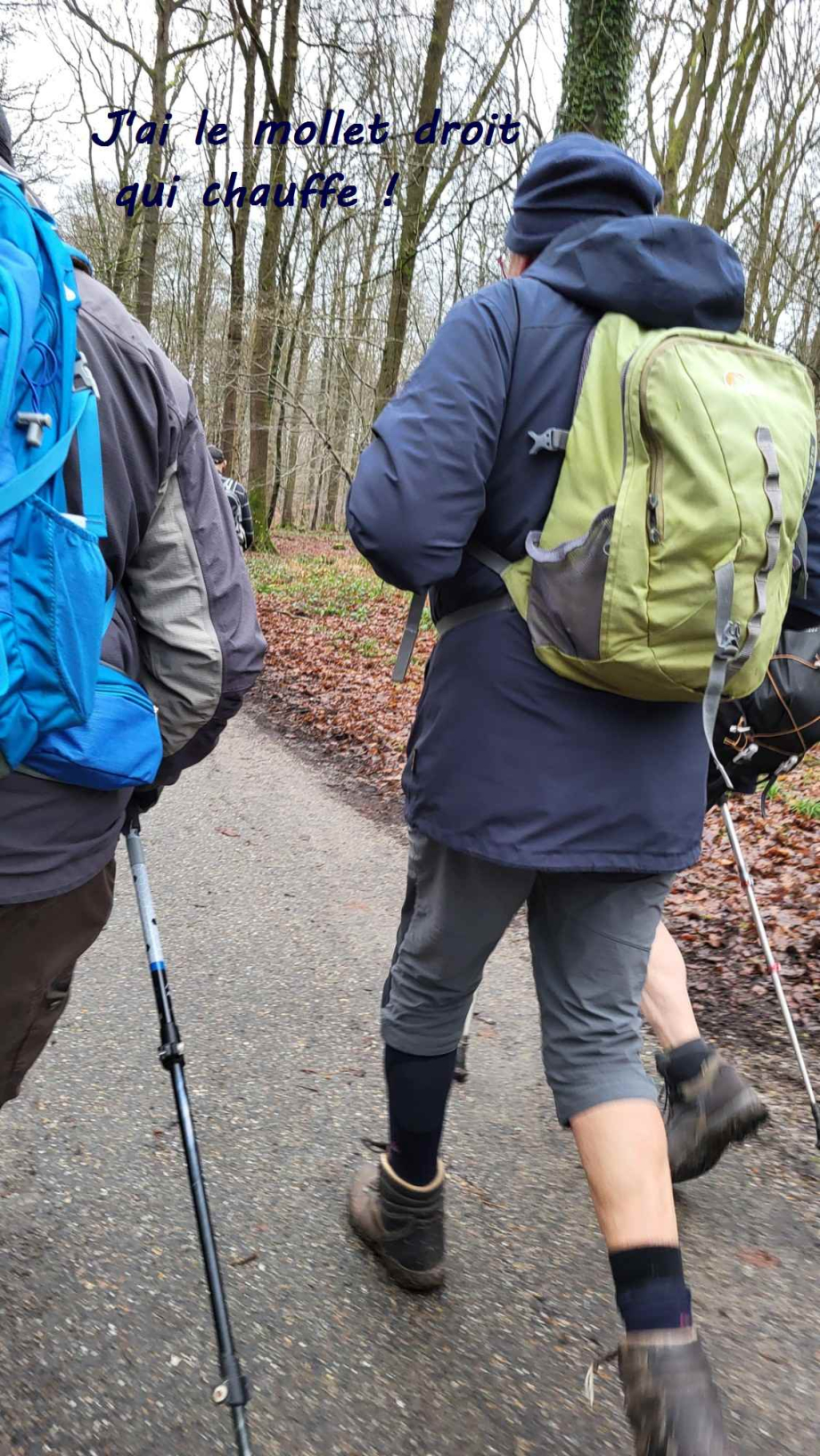 2024-01-16 Forêt verte Grand Canton (26)