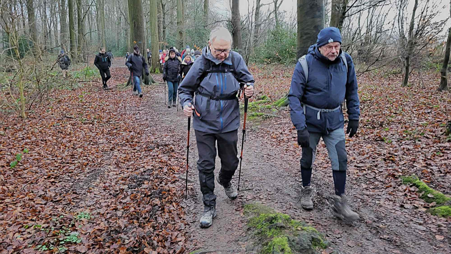 2024-01-16 Forêt verte Grand Canton (2)