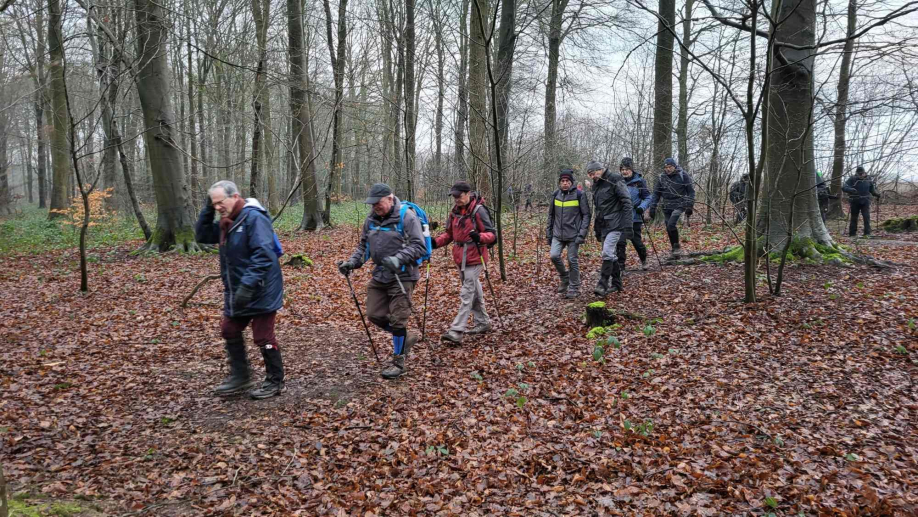 2024-01-16 Forêt verte Grand Canton (3)