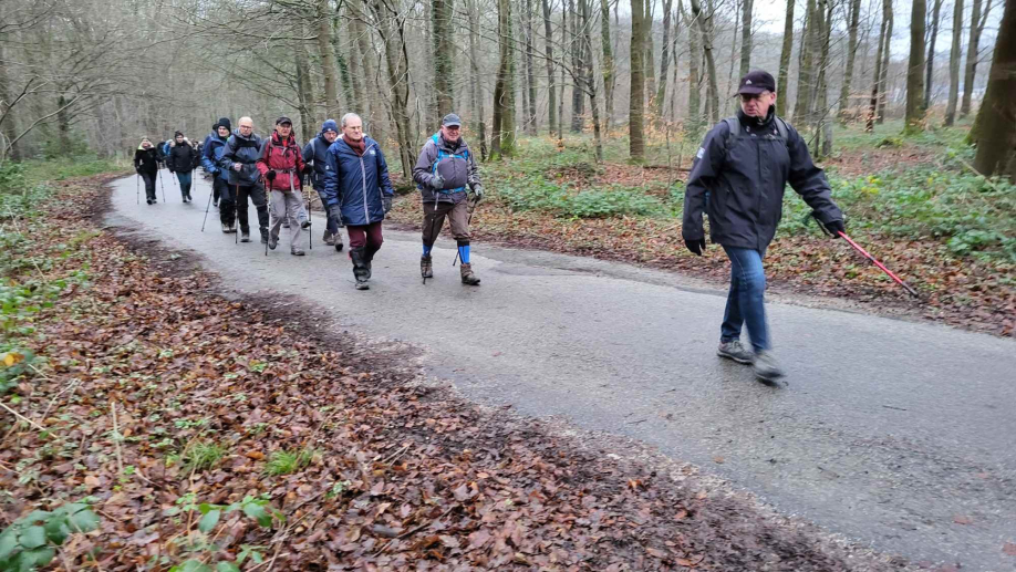 2024-01-16 Forêt verte Grand Canton (5)