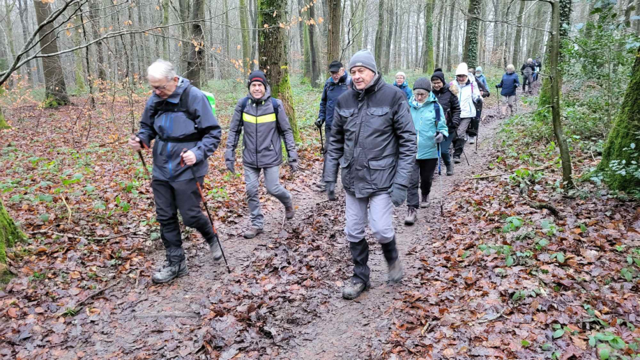 2024-01-16 Forêt verte Grand Canton (6)