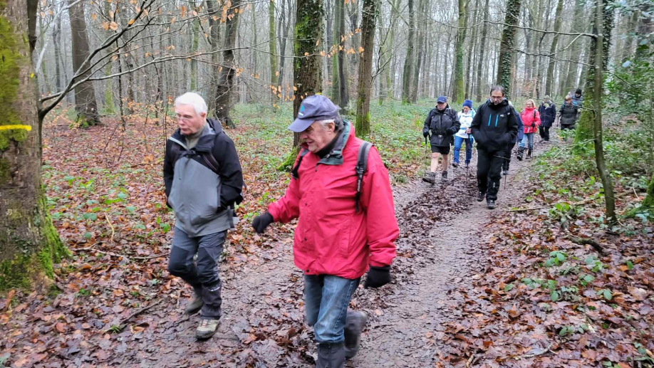 2024-01-16 Forêt verte Grand Canton (7)