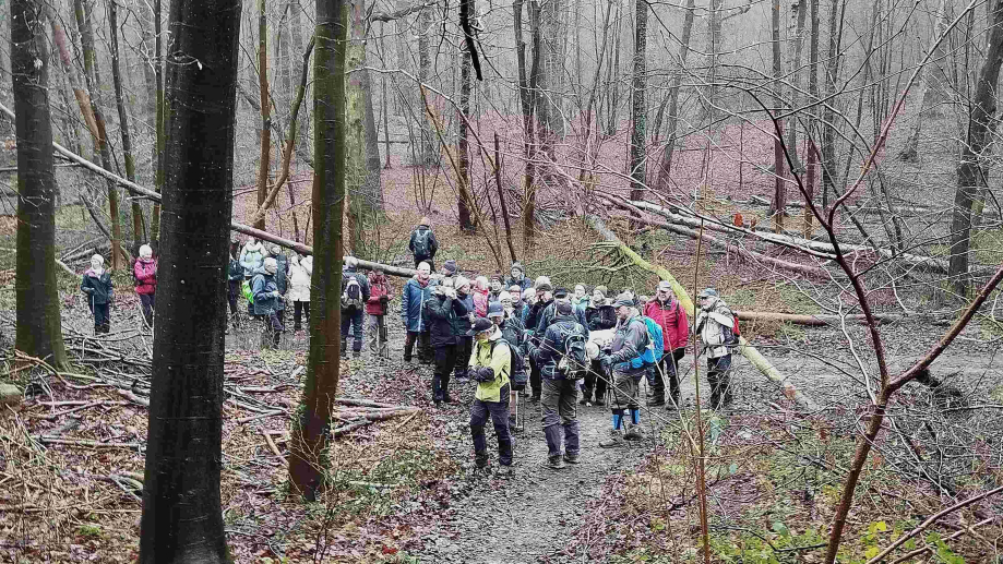 2024-01-16 Forêt verte Grand Canton (9)