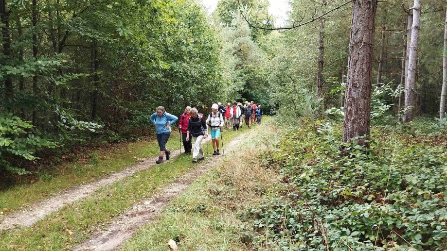 2025-09-04 ND Bliquetuit JML (12)