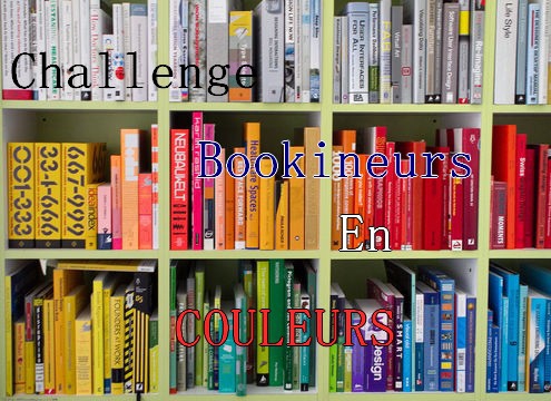 Logo-challenge-bookineurs-en-couleurs.jpg
