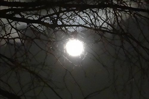 La lune au-dessus du Renouveau - Dijon - Mars 2013