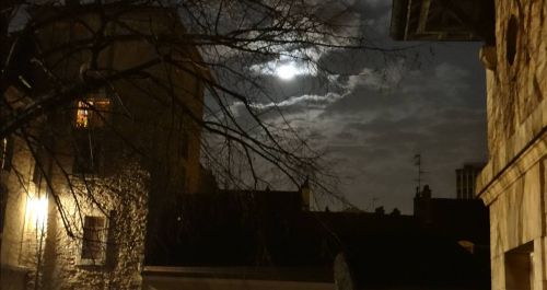 Le Renouveau sous la lune - Dijon - Mars 2013