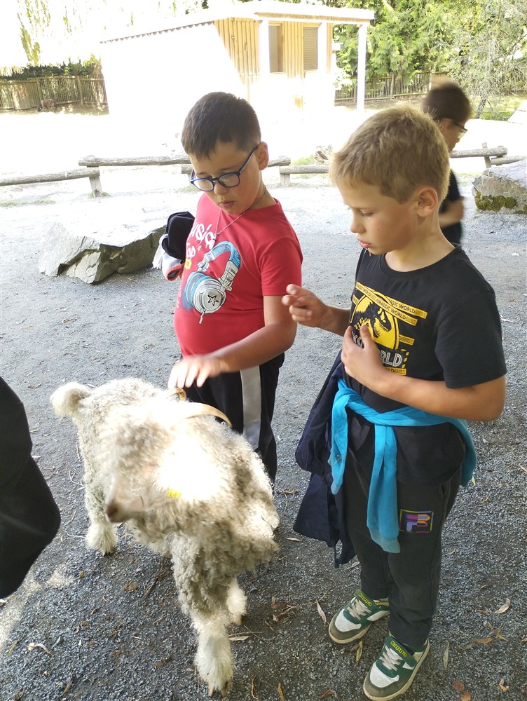 IMG_20250829_163318.jpg