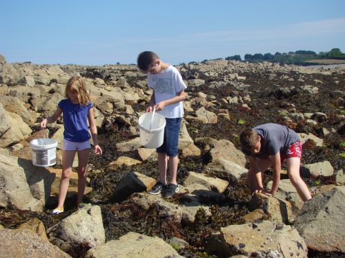 pêche à pied