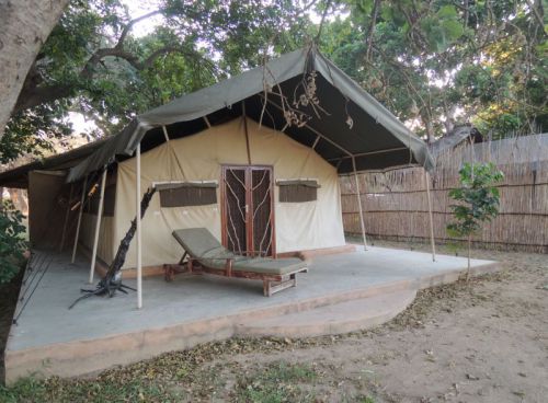 Croc valley camp