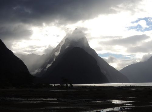 Milford Sound vers 15h