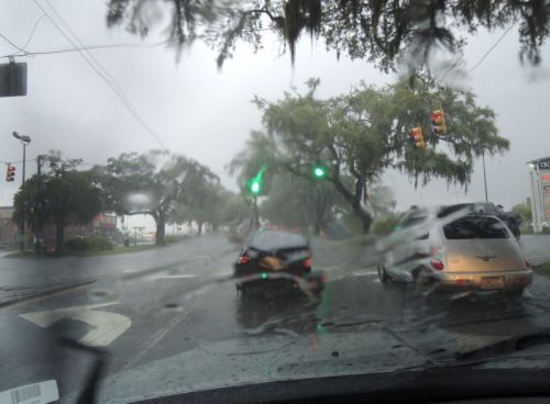 Savannah sous l'orage