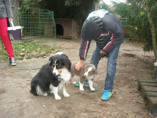 Gabriel, heureux de découvrir sa chienne, il adore les couleurs de Diam's!