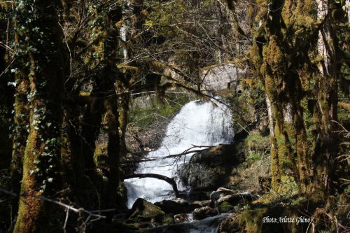 Monts de Bienne