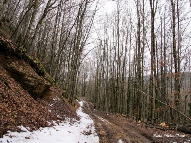 Chemin de fin d'hiver