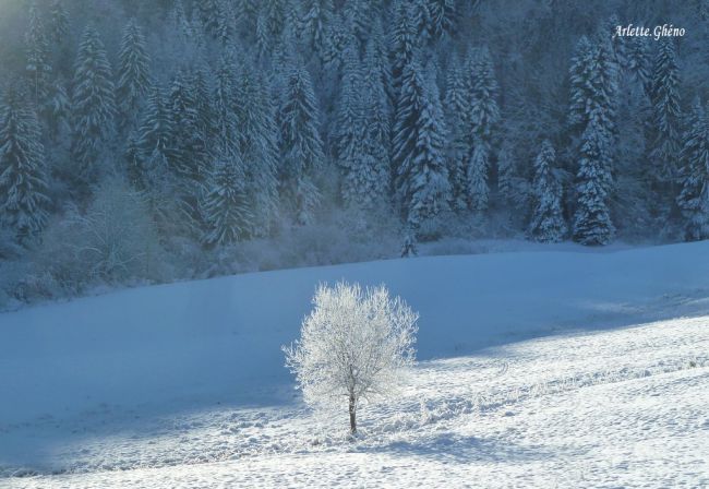 Les Combes - Longchaumois