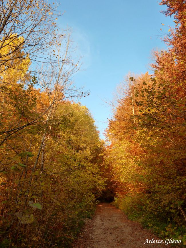 Chemin - Monts de Bienne - Longchaumois